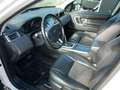Land Rover Discovery Sport 2,0 TD4 4WD SE Aut. Weiß - thumbnail 10