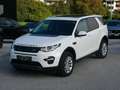 Land Rover Discovery Sport 2,0 TD4 4WD SE Aut. Weiß - thumbnail 2