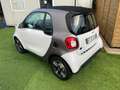 smart forTwo EQ Youngster Blanc - thumbnail 5