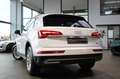 Audi Q5 40 TDI QU. S-TRONIC 1.HAND/AHK/VIRTUAL/LED`S Weiß - thumbnail 11