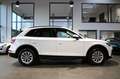 Audi Q5 40 TDI QU. S-TRONIC 1.HAND/AHK/VIRTUAL/LED`S Weiß - thumbnail 7