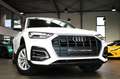 Audi Q5 40 TDI QU. S-TRONIC 1.HAND/AHK/VIRTUAL/LED`S Weiß - thumbnail 9