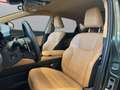 Lexus NX 350h NX 350h 2.5 Luxury 4wd e-cvt Marrone - thumbnail 9