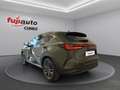Lexus NX 350h NX 350h 2.5 Luxury 4wd e-cvt Marrone - thumbnail 3
