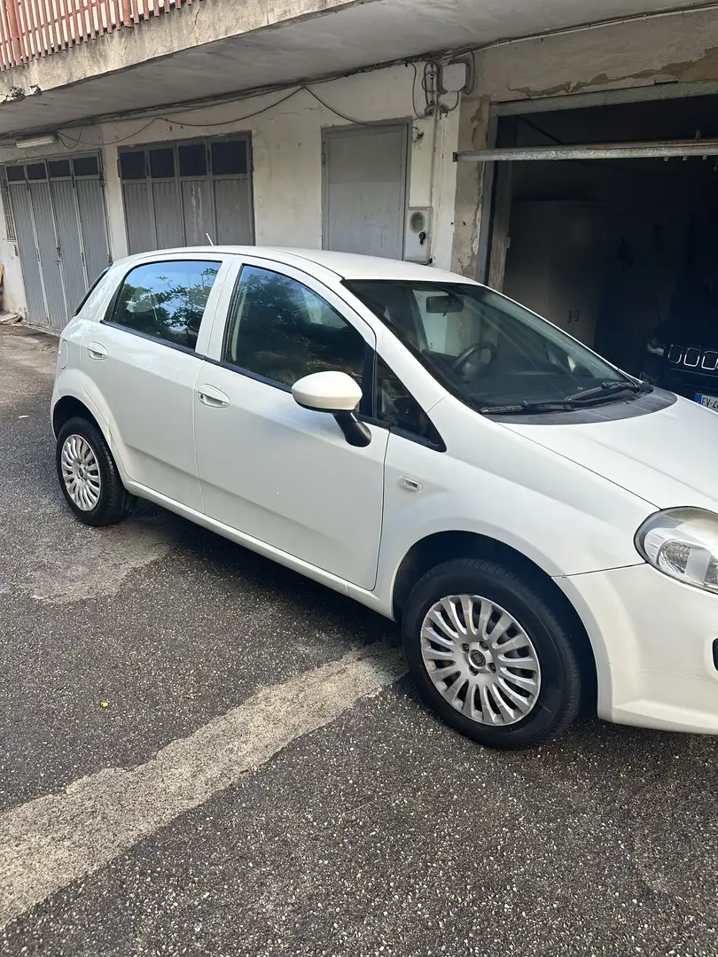 Fiat Punto Fiat Punto 1.4 Natural Power 2016 Bianco - 2