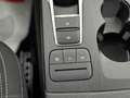 Ford Kuga 1.5 EcoBlue 120 CV aut. 2WD Tit.Bus Gris - thumbnail 26