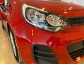 Kia Rio 1.2 CVVT Drive Rojo - thumbnail 29