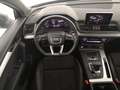 Audi Q5 40 2.0 tdi s line plus quattro 190cv s-tronic Gris - thumbnail 7