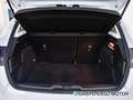 Ford Focus 1.5 Ecoblue Trend+ 120 Blanco - thumbnail 12