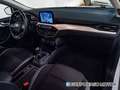 Ford Focus 1.5 Ecoblue Trend+ 120 Blanco - thumbnail 19