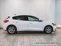 Ford Focus 1.5 Ecoblue Trend+ 120 Blanco - thumbnail 5