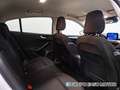Ford Focus 1.5 Ecoblue Trend+ 120 Blanco - thumbnail 14
