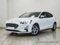 Ford Focus 1.5 Ecoblue Trend+ 120 Blanco - thumbnail 36