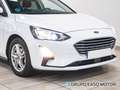 Ford Focus 1.5 Ecoblue Trend+ 120 Blanco - thumbnail 8