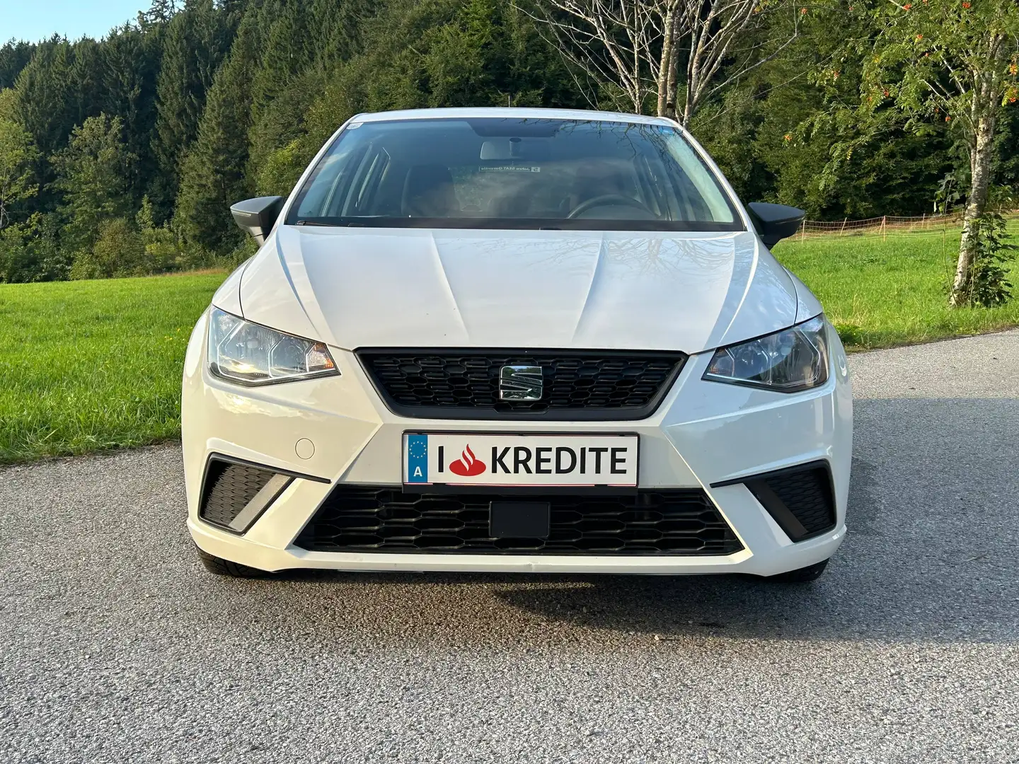 SEAT Ibiza 8fach Bereift & möglicher SOFORTFINANZIERUNG !! Silber - 2
