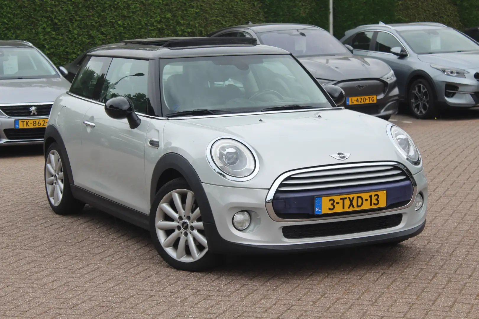 MINI Cooper Mini 1.5 / Panoramadak / Head-up / Half leder / Ke Wit - 1