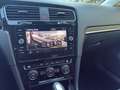 Volkswagen Golf Golf VII 5p  1.6 TDI 115cv DSG  Executive BlueMot Gris - thumbnail 37