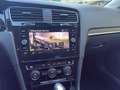 Volkswagen Golf Golf VII 5p  1.6 TDI 115cv DSG  Executive BlueMot Gris - thumbnail 38