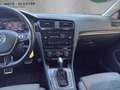 Volkswagen Golf Golf VII 5p  1.6 TDI 115cv DSG  Executive BlueMot Gris - thumbnail 19