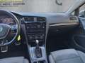 Volkswagen Golf Golf VII 5p  1.6 TDI 115cv DSG  Executive BlueMot Gris - thumbnail 18
