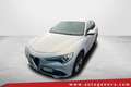 Alfa Romeo Stelvio ALFA ROMEO STELVIO 2.2 TURBODIESEL 190CV AT8 RWD B Argento - thumbnail 1