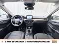 Ford Kuga 1.5 ecoblue titanium business 2wd 120cv Gris - thumbnail 11