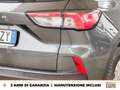 Ford Kuga 1.5 ecoblue titanium business 2wd 120cv Gris - thumbnail 17
