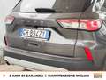 Ford Kuga 1.5 ecoblue titanium business 2wd 120cv Gris - thumbnail 18