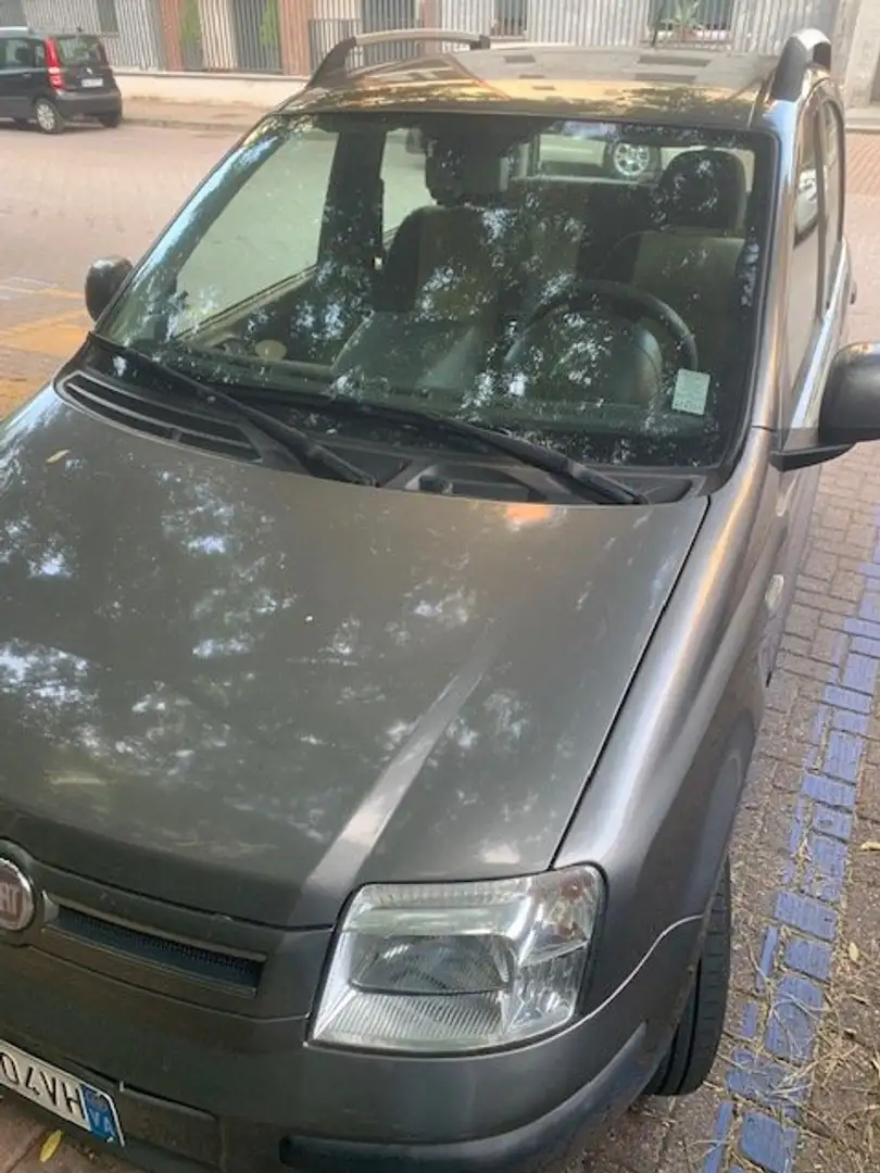Fiat Panda 1200 active Gris - 1