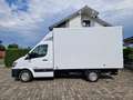 Hyundai H 350 L3 Pritsche Koffer geschlossener Kasten AHK Weiß - thumbnail 3