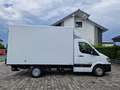 Hyundai H 350 L3 Pritsche Koffer geschlossener Kasten AHK Weiß - thumbnail 7