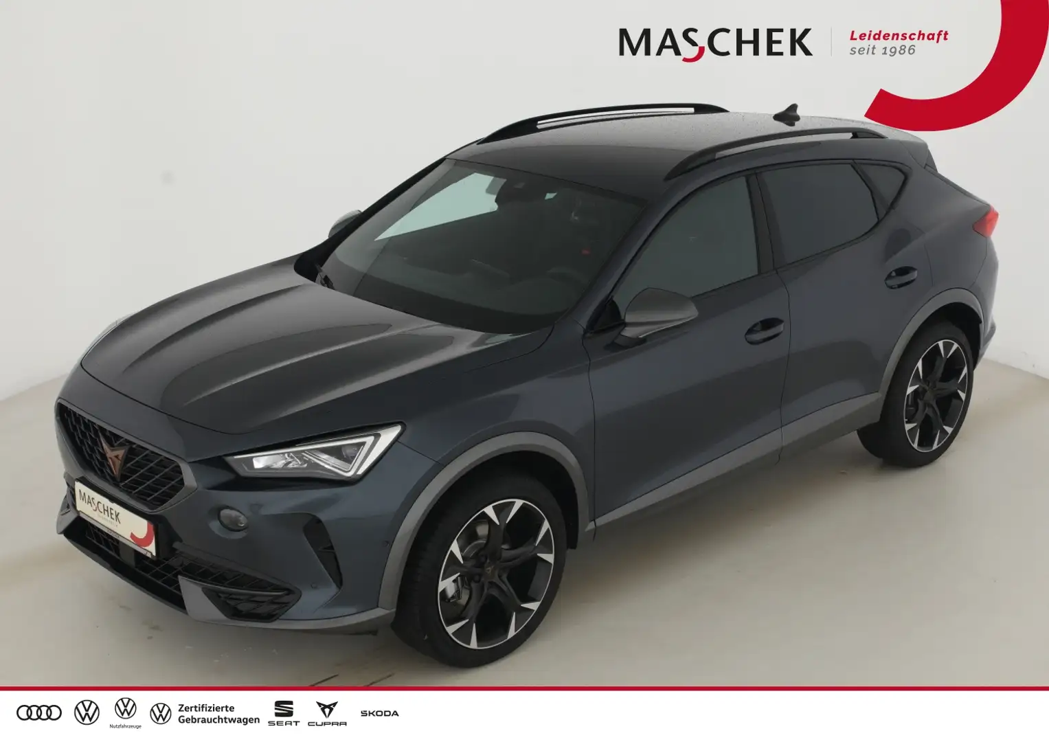 CUPRA Formentor 4-Drive 2.0 TDI *DSG* FLA ACC SpurH Grau - 1