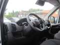 Fiat Ducato L5H3 180 PS - Blanc - thumbnail 15