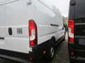 Fiat Ducato L5H3 180 PS - Blanc - thumbnail 14