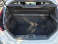Ford Fiesta Fiesta 1.5 TDCi 75CV 5 porte Black & White Edition Bianco - thumbnail 15