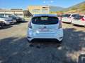 Ford Fiesta Fiesta 1.5 TDCi 75CV 5 porte Black & White Edition Bianco - thumbnail 5