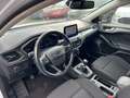 Ford Focus Turnier 1,5 EcoBlue "Titanium X"*NAVi*SHZ* Blanc - thumbnail 10