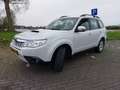 Subaru Forester 2.0 D XS Luxury Wit - thumbnail 8