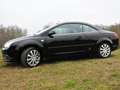Ford Focus Focus 1.6-16V Trend Zwart - thumbnail 1