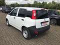 Fiat Panda 1.0 Van 2 Sitzer - LKW Zul. + Klima + Sofort Verf Blanco - thumbnail 4