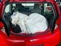 SEAT Mii 4You White 1.Hand/Alufelgen/Klima Rouge - thumbnail 11