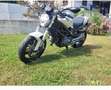 Ducati Monster 696 696+ Bianco - thumbnail 2