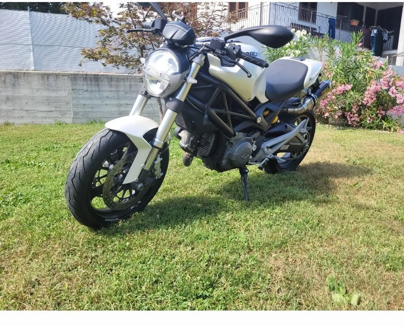 Ducati Monster 696 696+ Bianco - 2