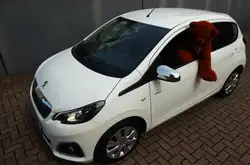 Peugeot 108 Style 18.700 km nur 50, € Kfz Steuer