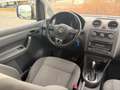 Volkswagen Caddy Caddy Kombi Maxi 2,0 TDI DPF 4MOTION DSG Weiß - thumbnail 16