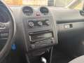 Volkswagen Caddy Caddy Kombi Maxi 2,0 TDI DPF 4MOTION DSG Weiß - thumbnail 18