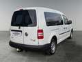 Volkswagen Caddy Caddy Kombi Maxi 2,0 TDI DPF 4MOTION DSG Weiß - thumbnail 5