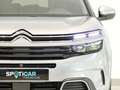 Citroen C5 Aircross 1.5 BlueHDi 131CV S&S FEEL AUTO 5P Gris - thumbnail 10