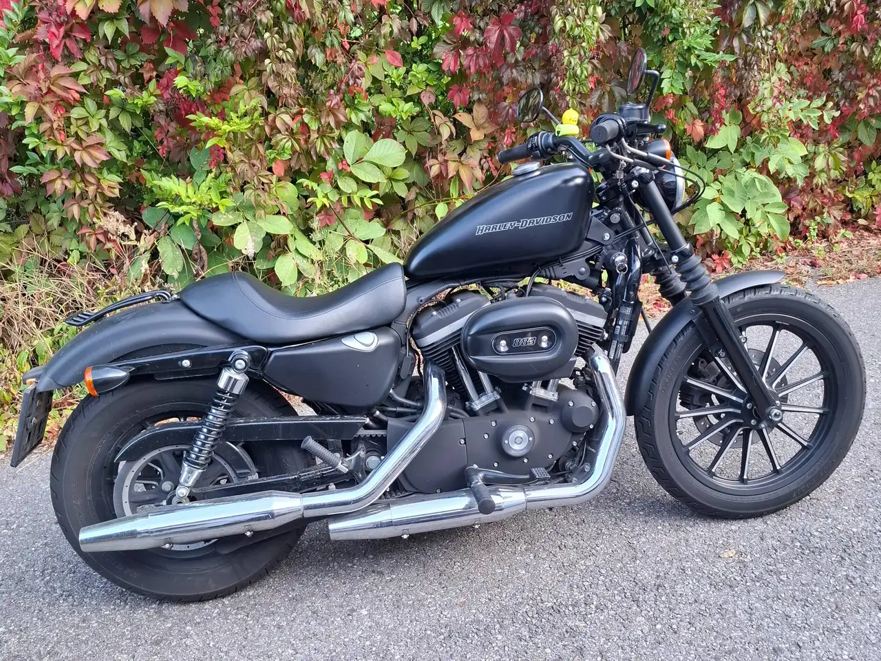 Harley-Davidson Iron 883
