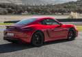 Porsche Cayman GT4 - thumbnail 21